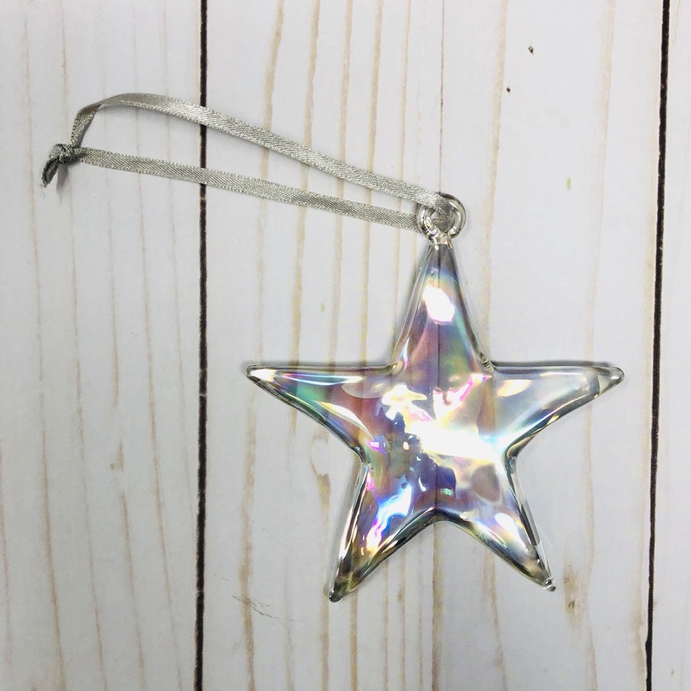 Pottery Barn Iridescent Glass Star Ornament